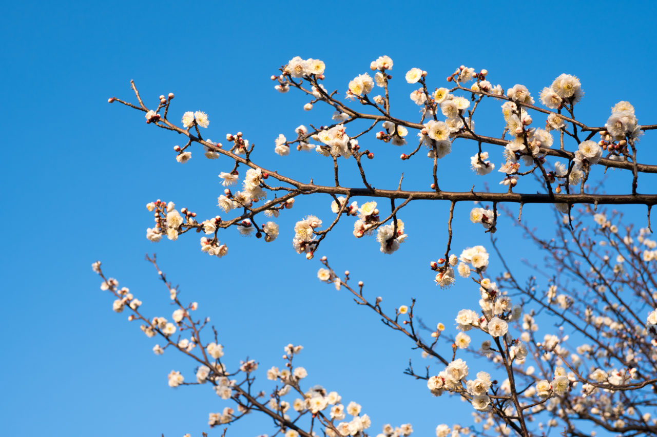 タプリコテックのご挨拶
